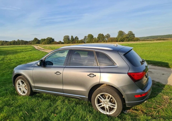 Audi Q5 cena 49999 przebieg: 199000, rok produkcji 2013 z Chojnice małe 46